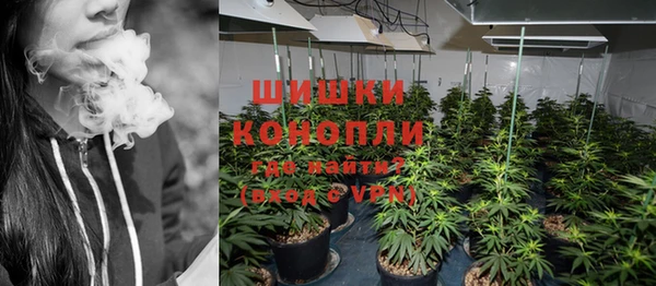 шишки Алексеевка